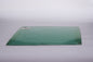 68-70 Charger door Glass Tinted